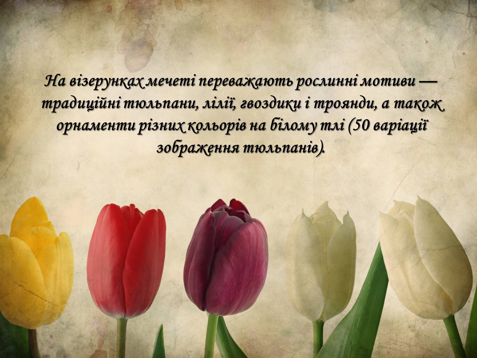Презентація на тему «Блакитна мечеть» - Слайд #14 Презентація на тему «Блакитна мечеть» - Слайд #14