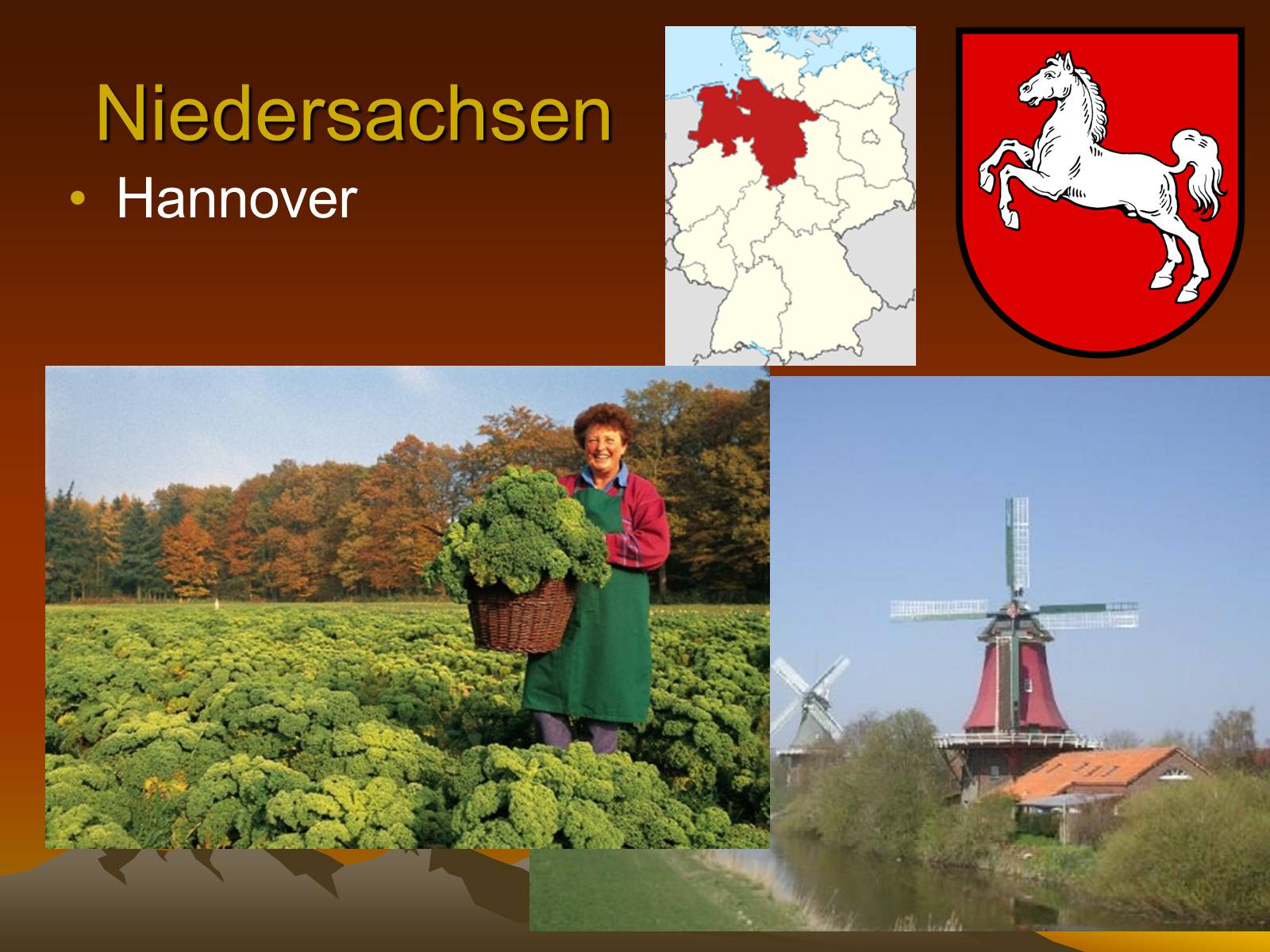 Презентація на тему «Deutschland» (варіант 1) - Слайд #12 Презентація на тему «Deutschland» (варіант 1) - Слайд #12