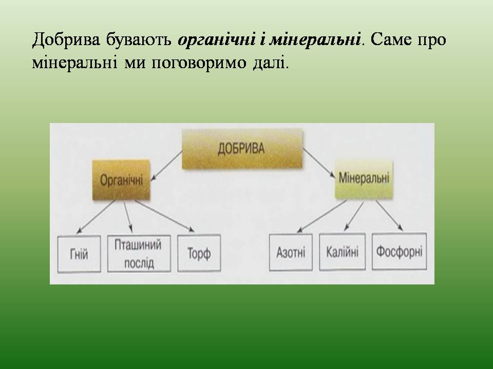 Презентація на тему «Мінеральні добрива» (варіант 11) - Слайд #4 Презентація на тему «Мінеральні добрива» (варіант 11) - Слайд #4