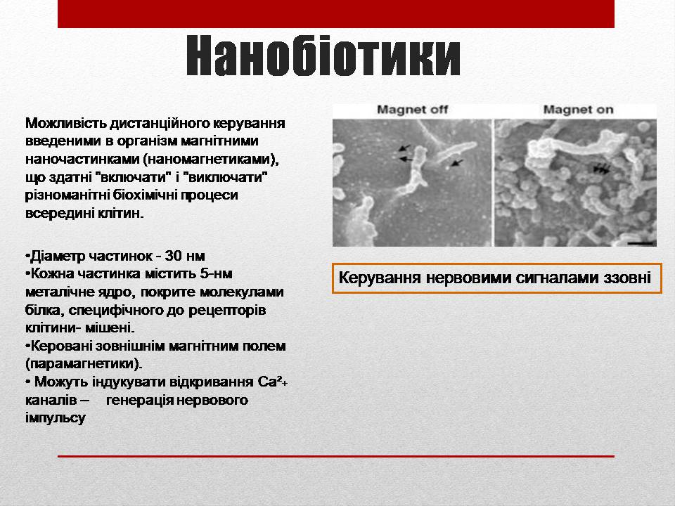 Презентація на тему «Біотехнології і наномедицина» - Слайд #11 Презентація на тему «Біотехнології і наномедицина» - Слайд #11