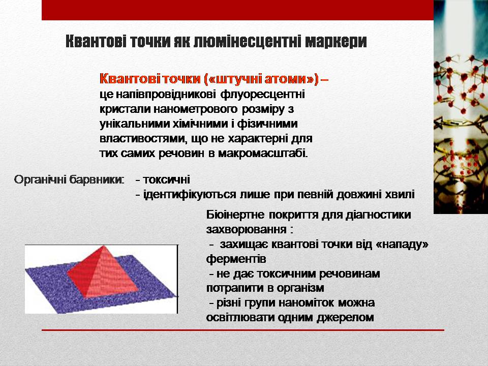 Презентація на тему «Біотехнології і наномедицина» - Слайд #12 Презентація на тему «Біотехнології і наномедицина» - Слайд #12