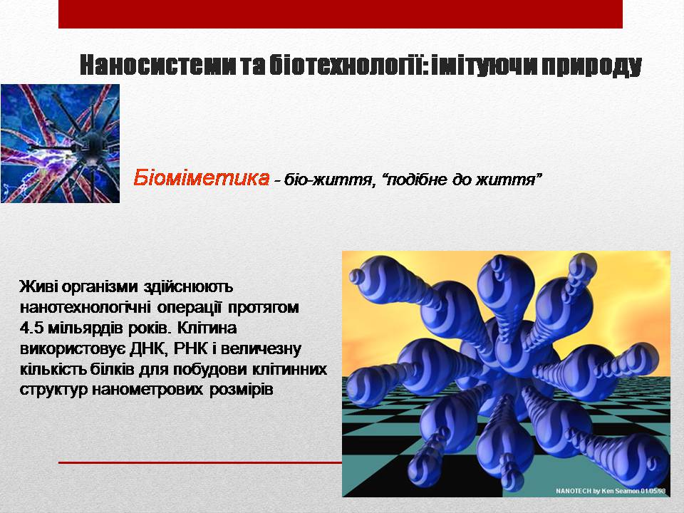 Презентація на тему «Біотехнології і наномедицина» - Слайд #13 Презентація на тему «Біотехнології і наномедицина» - Слайд #13