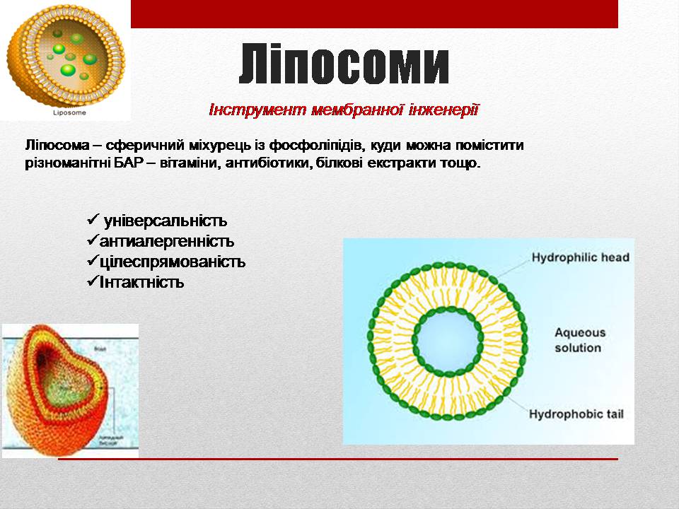 Презентація на тему «Біотехнології і наномедицина» - Слайд #8 Презентація на тему «Біотехнології і наномедицина» - Слайд #8