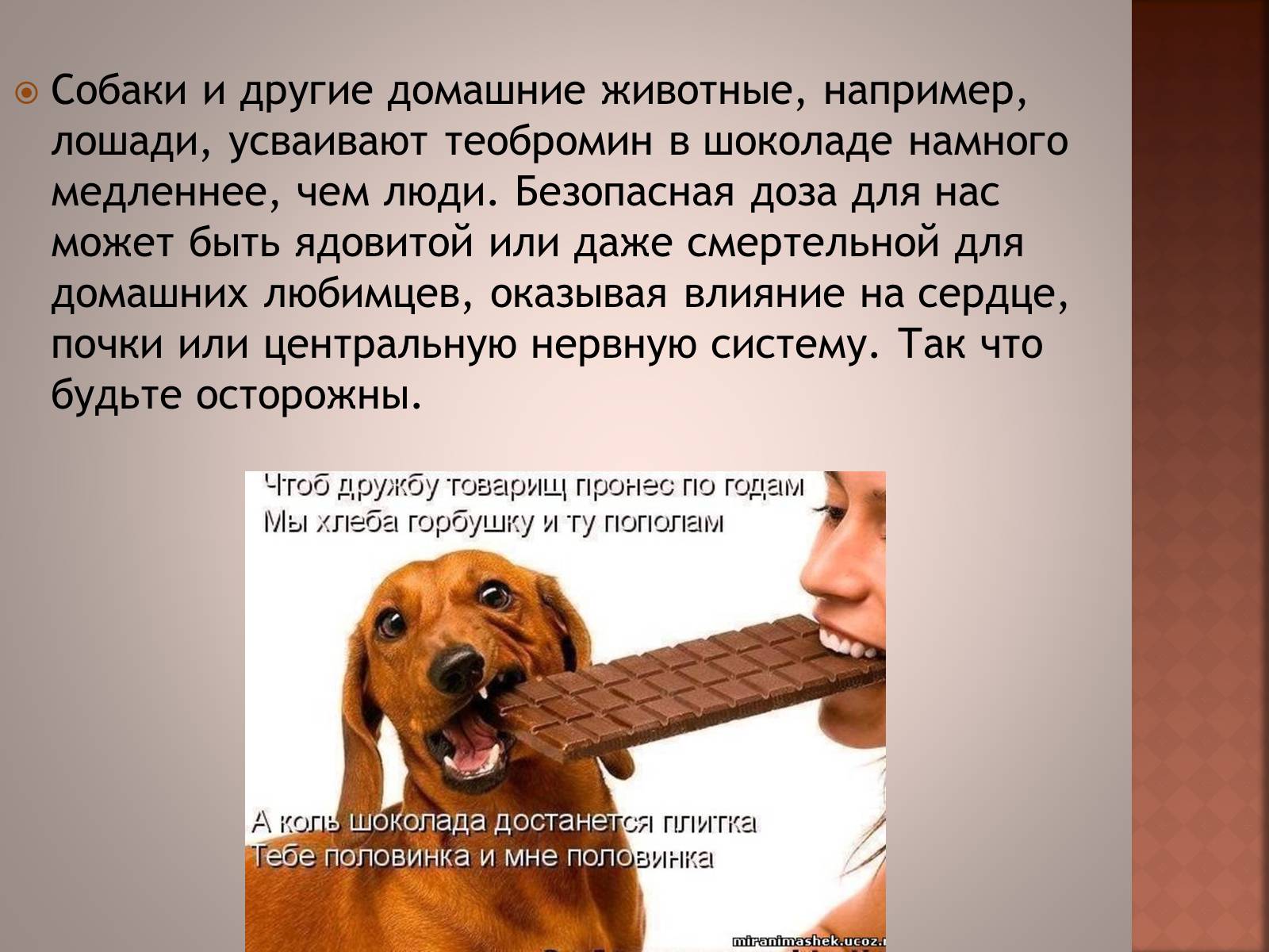 Презентація на тему «Шоколад» (варіант 1) - Слайд #10 Презентація на тему «Шоколад» (варіант 1) - Слайд #10