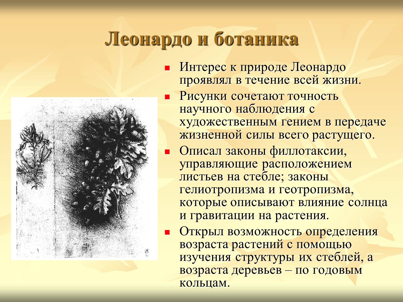 Презентація на тему «Леонардо да Вінчі» (варіант 10) - Слайд #6 Презентація на тему «Леонардо да Вінчі» (варіант 10) - Слайд #6