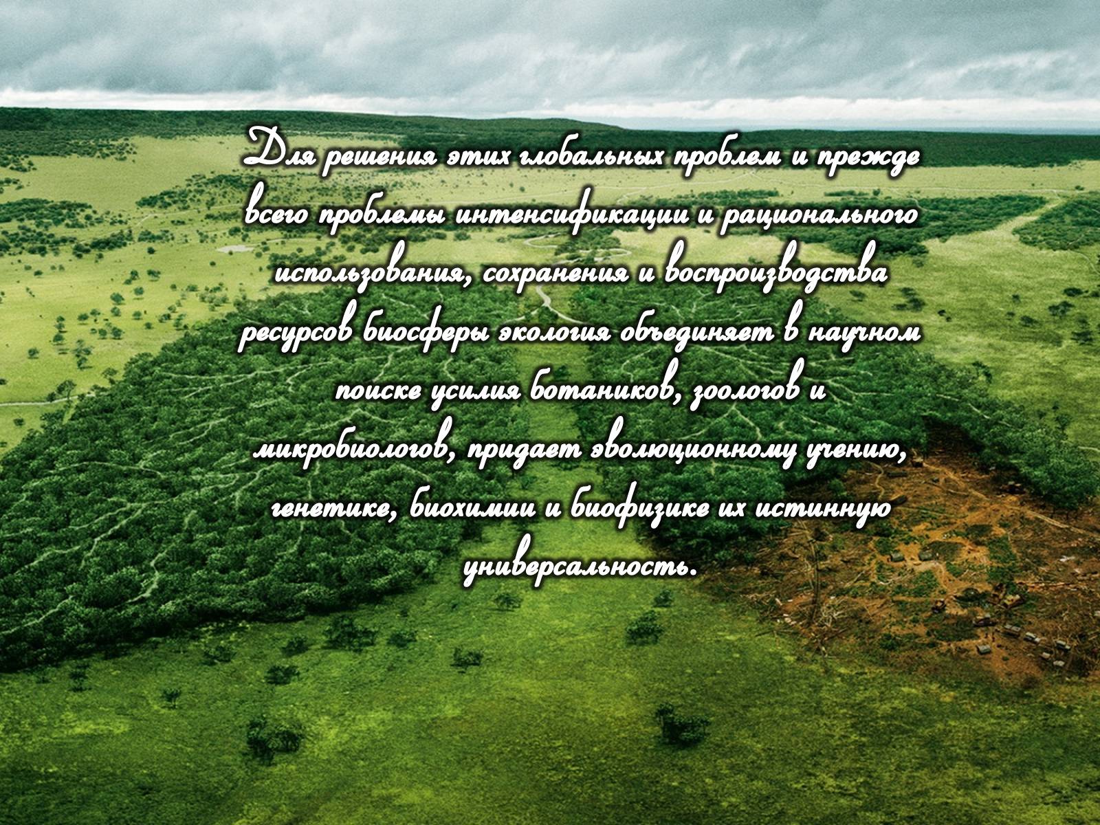 Презентація на тему «Предмет, объект, задачи и методы науки экологии» - Слайд #11 Презентація на тему «Предмет, объект, задачи и методы науки экологии» - Слайд #11