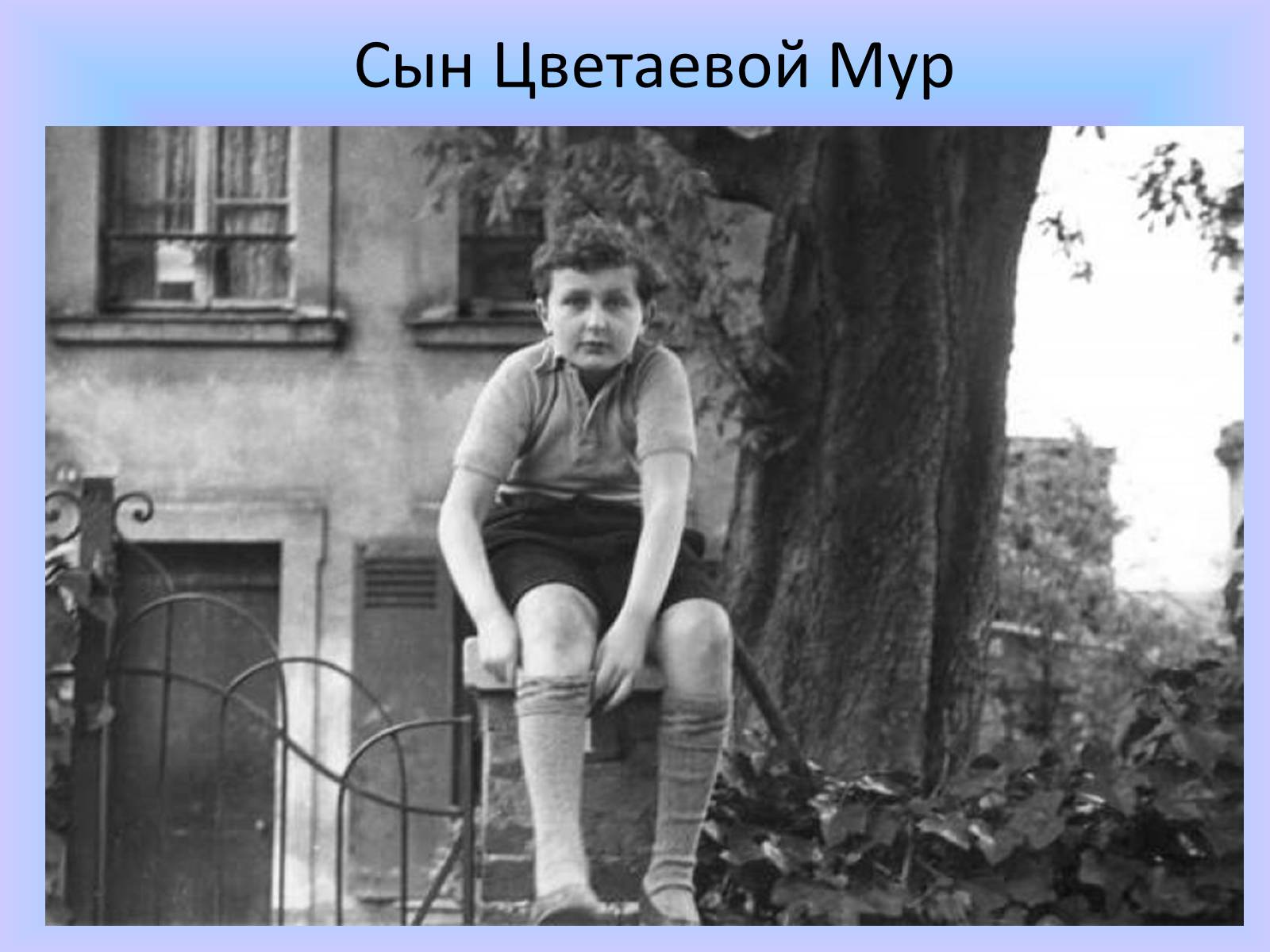 Презентація на тему «Марина Ивановна Цветаева» (варіант 2) - Слайд #6 Презентація на тему «Марина Ивановна Цветаева» (варіант 2) - Слайд #6