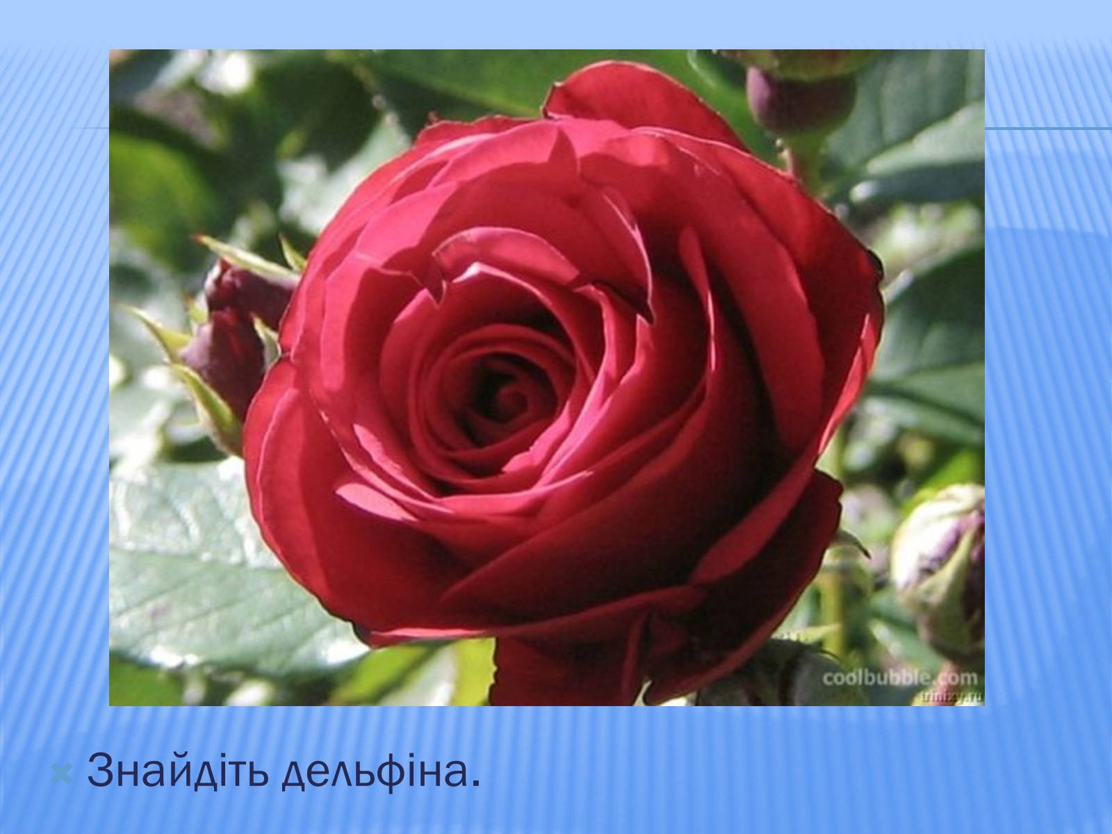 Презентація на тему «Головоломки» - Слайд #5 Презентація на тему «Головоломки» - Слайд #5