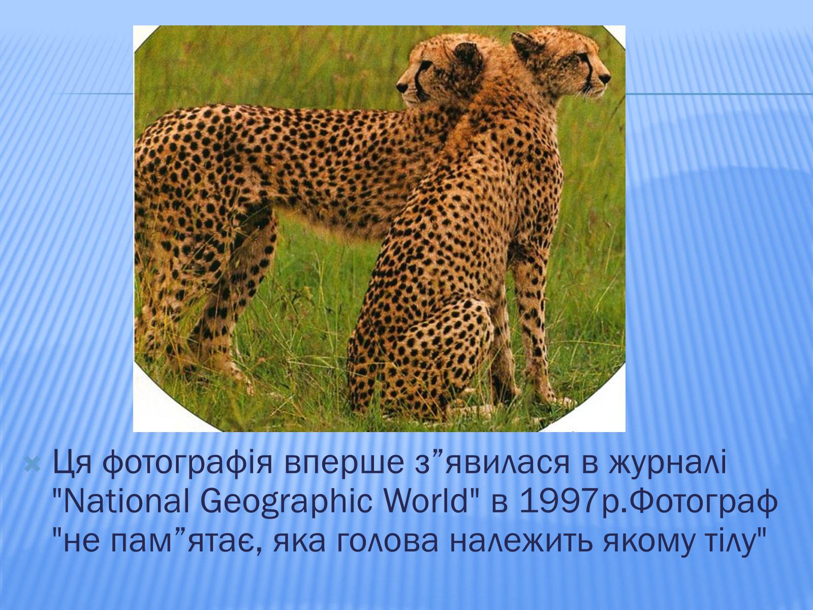 Презентація на тему «Головоломки» - Слайд #7 Презентація на тему «Головоломки» - Слайд #7