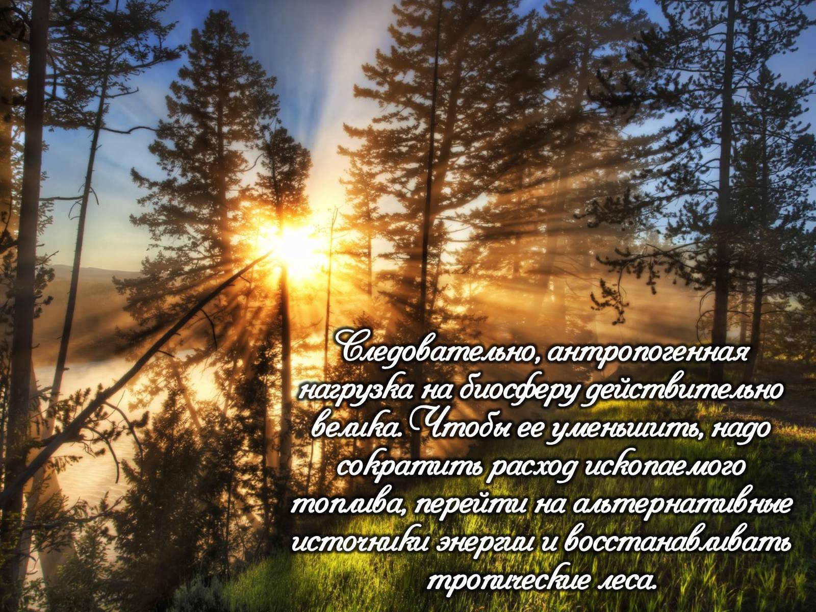 Презентація на тему «Деградация биосферы» - Слайд #22 Презентація на тему «Деградация биосферы» - Слайд #22
