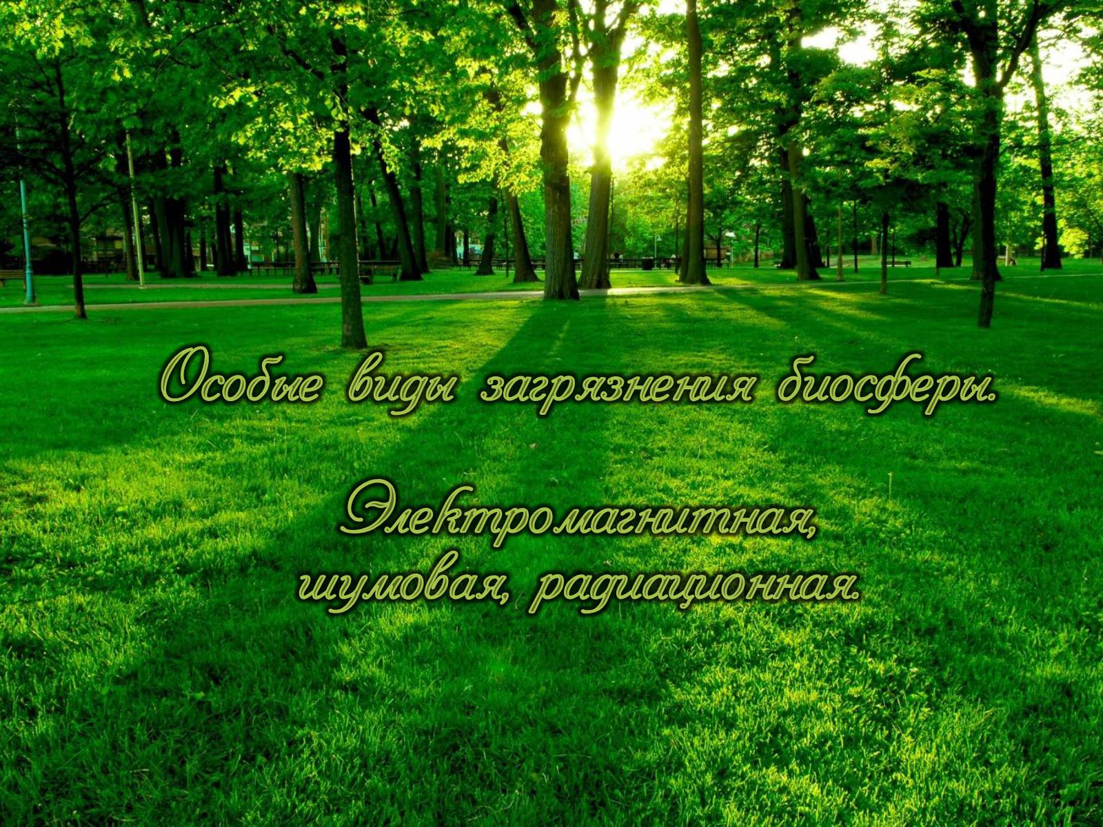 Презентація на тему «Деградация биосферы» - Слайд #27 Презентація на тему «Деградация биосферы» - Слайд #27