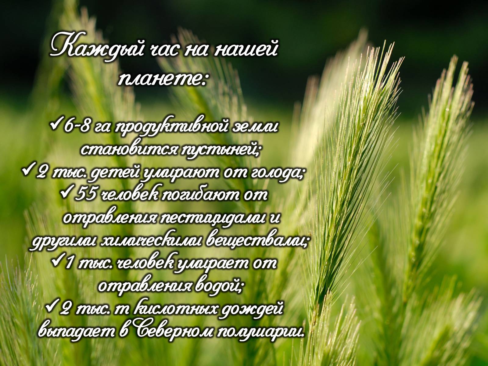 Презентація на тему «Деградация биосферы» - Слайд #32 Презентація на тему «Деградация биосферы» - Слайд #32