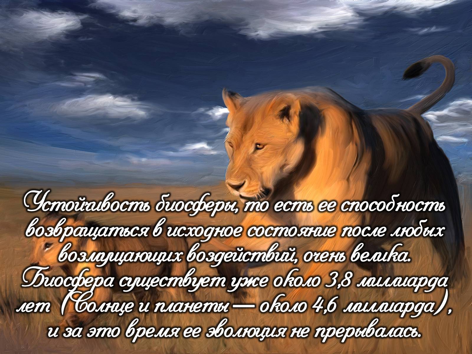 Презентація на тему «Деградация биосферы» - Слайд #6 Презентація на тему «Деградация биосферы» - Слайд #6
