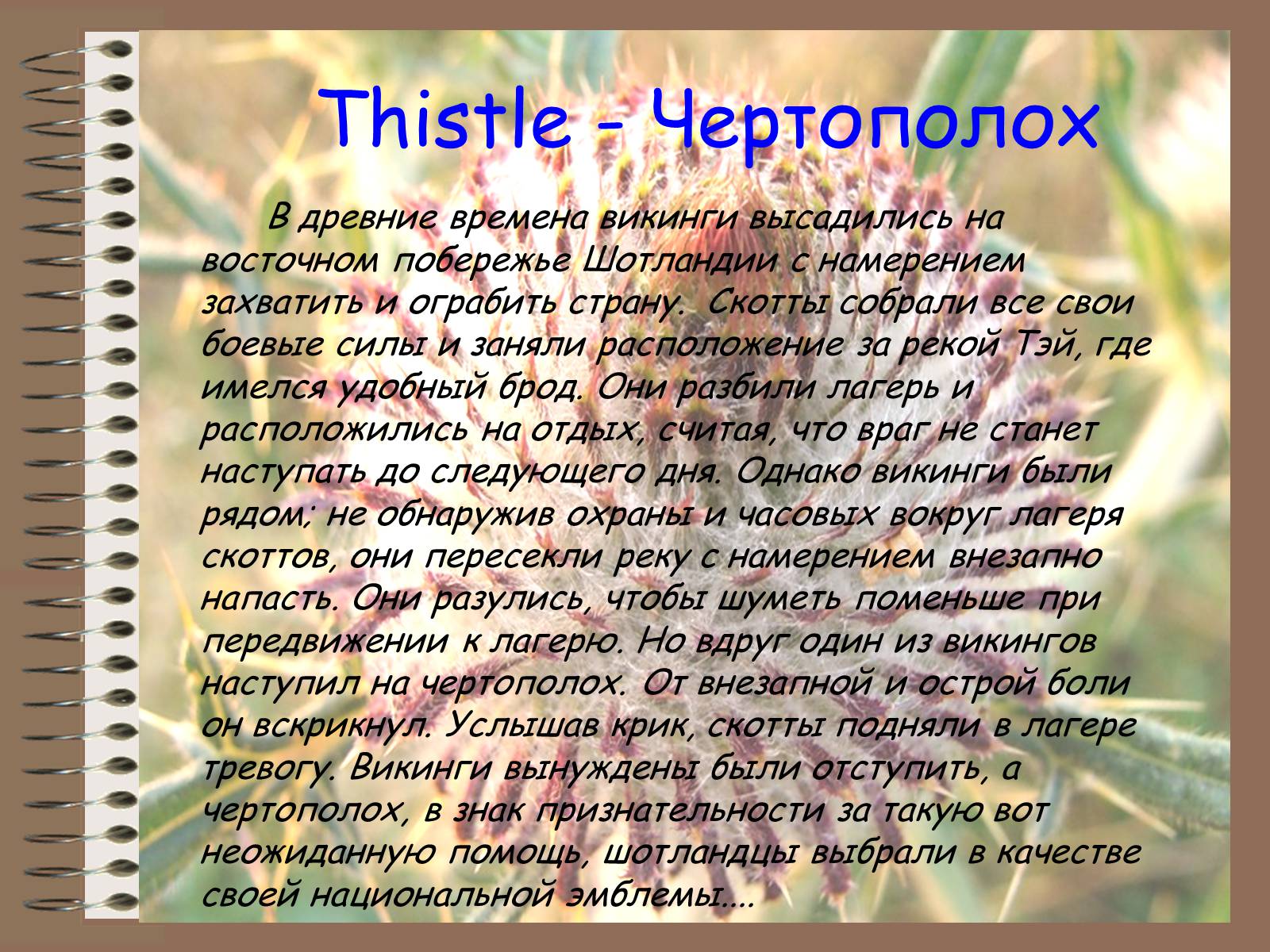 Презентація на тему «The United Kingdom of Great Britain» - Слайд #14 Презентація на тему «The United Kingdom of Great Britain» - Слайд #14