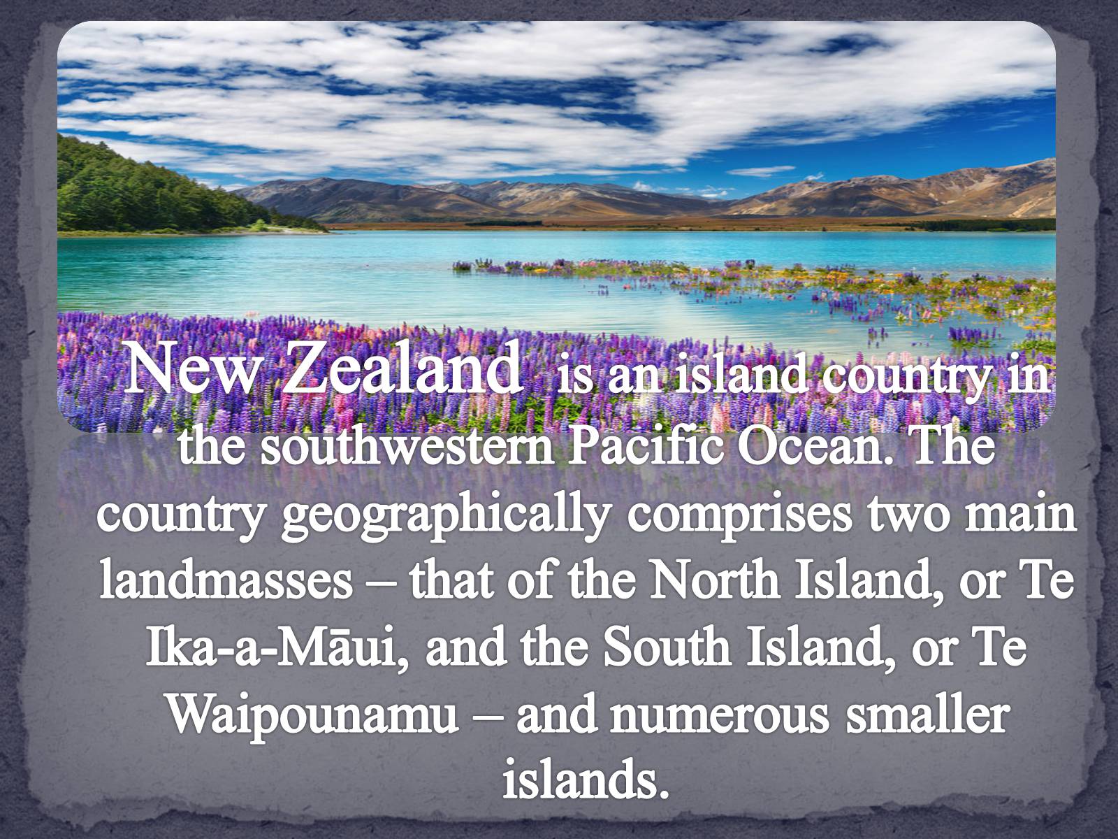 Презентація на тему «New Zealand» (варіант 3) - Слайд #3 Презентація на тему «New Zealand» (варіант 3) - Слайд #3