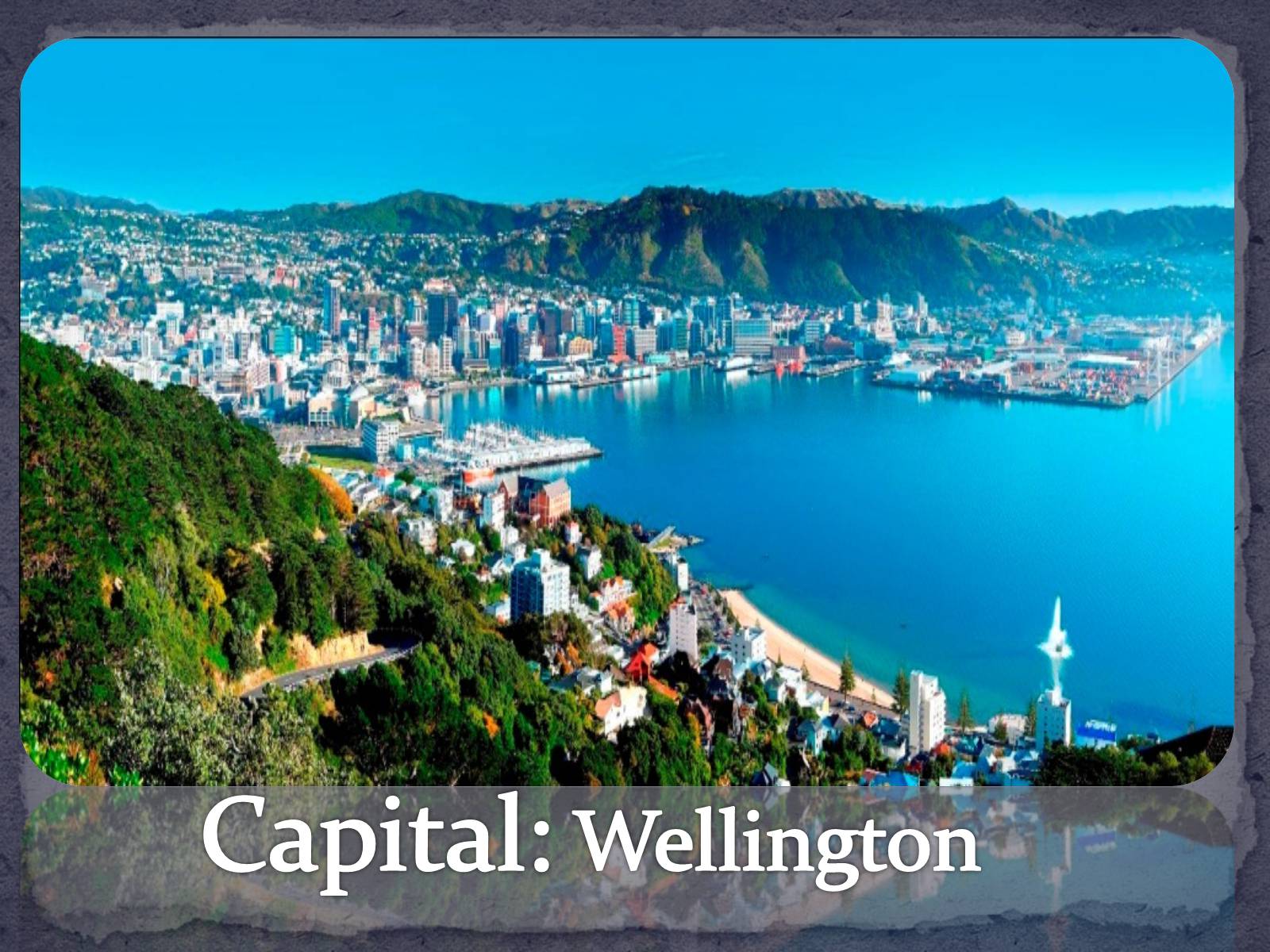 Презентація на тему «New Zealand» (варіант 3) - Слайд #5 Презентація на тему «New Zealand» (варіант 3) - Слайд #5
