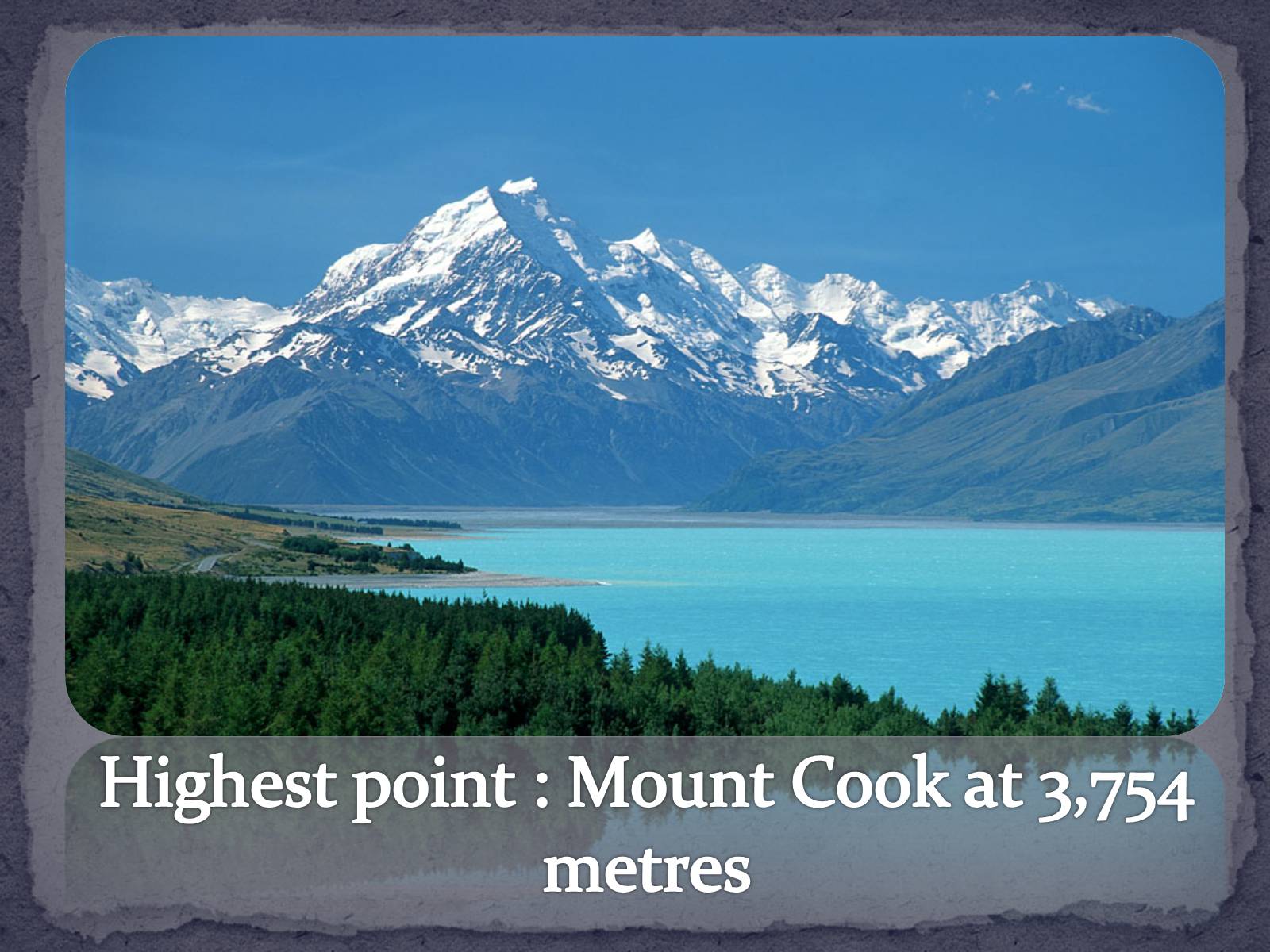 Презентація на тему «New Zealand» (варіант 3) - Слайд #8 Презентація на тему «New Zealand» (варіант 3) - Слайд #8