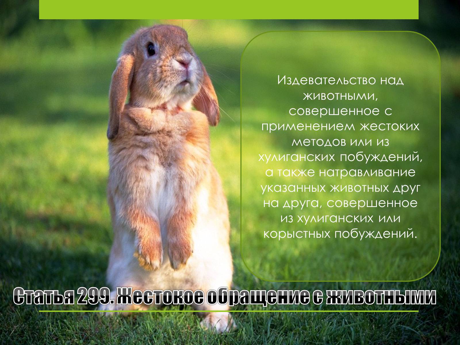 Презентація на тему «Преступления против общественного порядка и нравственности» - Слайд #9 Презентація на тему «Преступления против общественного порядка и нравственности» - Слайд #9