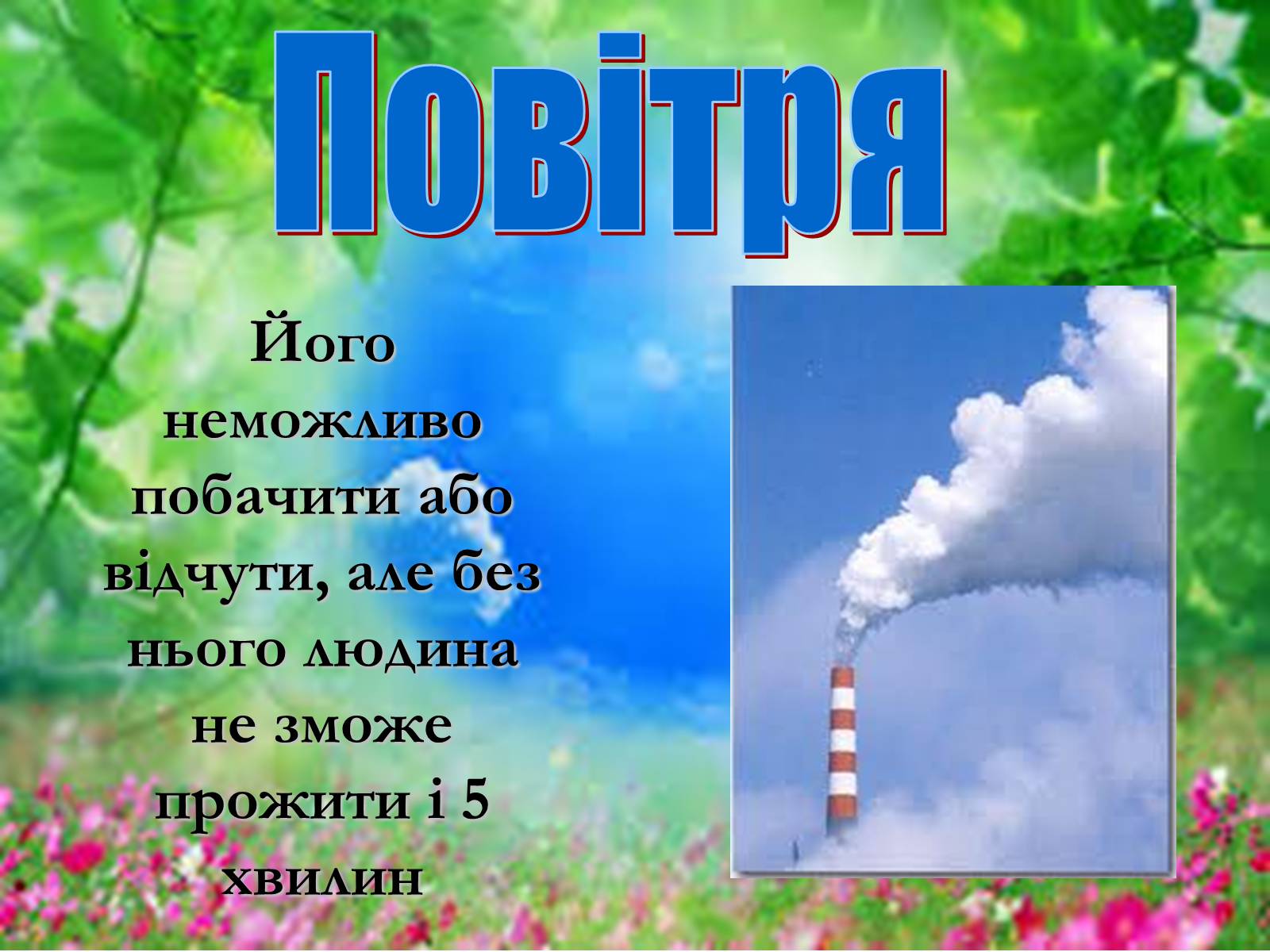 Презентація на тему «Основні поняття еколігії та її забруднення» - Слайд #12 Презентація на тему «Основні поняття еколігії та її забруднення» - Слайд #12