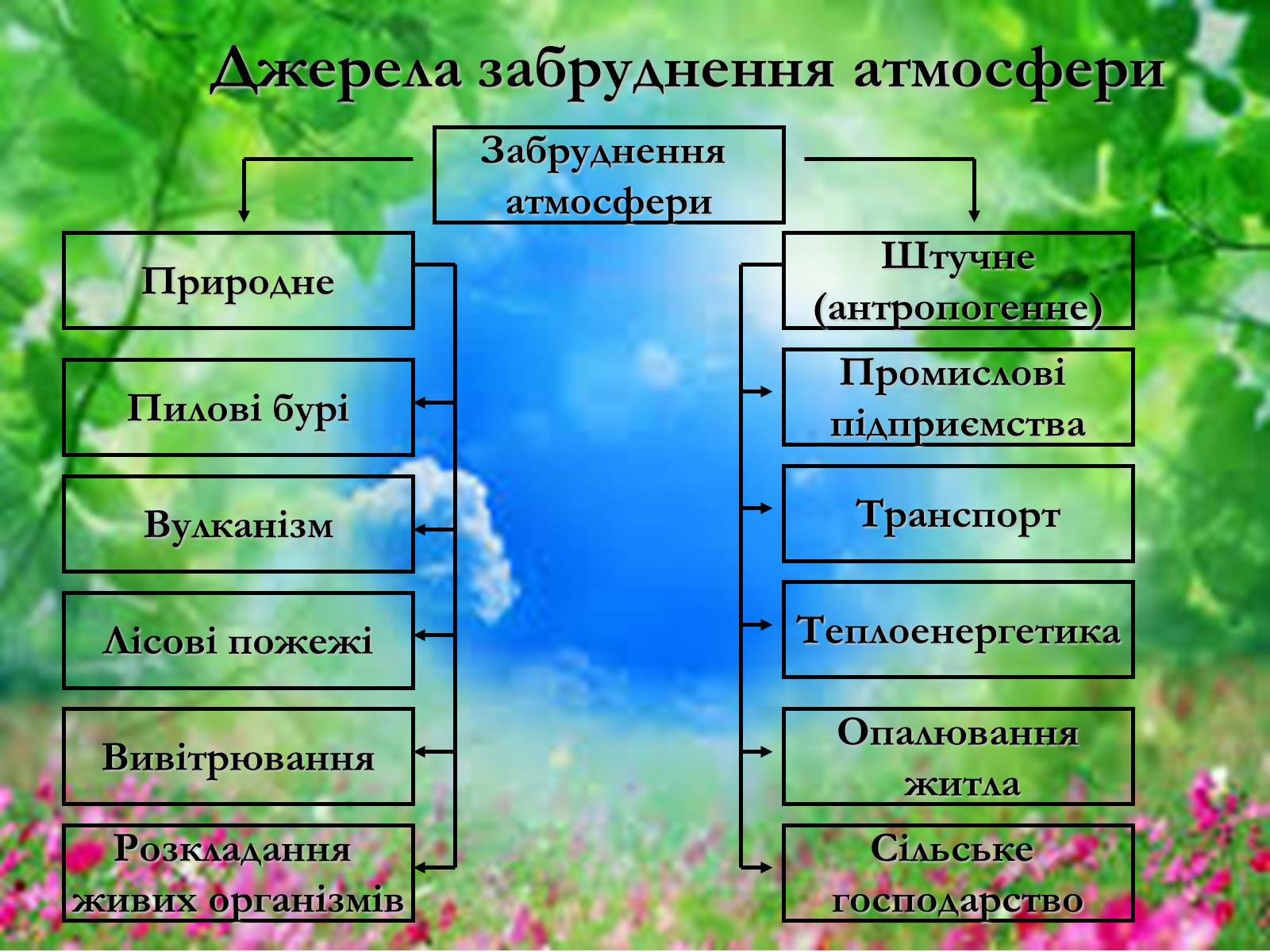 Презентація на тему «Основні поняття еколігії та її забруднення» - Слайд #13 Презентація на тему «Основні поняття еколігії та її забруднення» - Слайд #13