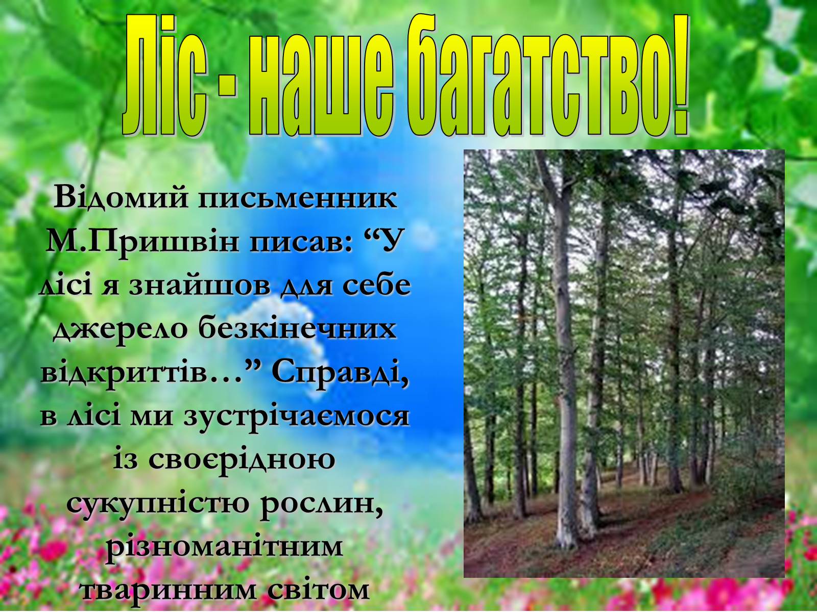 Презентація на тему «Основні поняття еколігії та її забруднення» - Слайд #14 Презентація на тему «Основні поняття еколігії та її забруднення» - Слайд #14