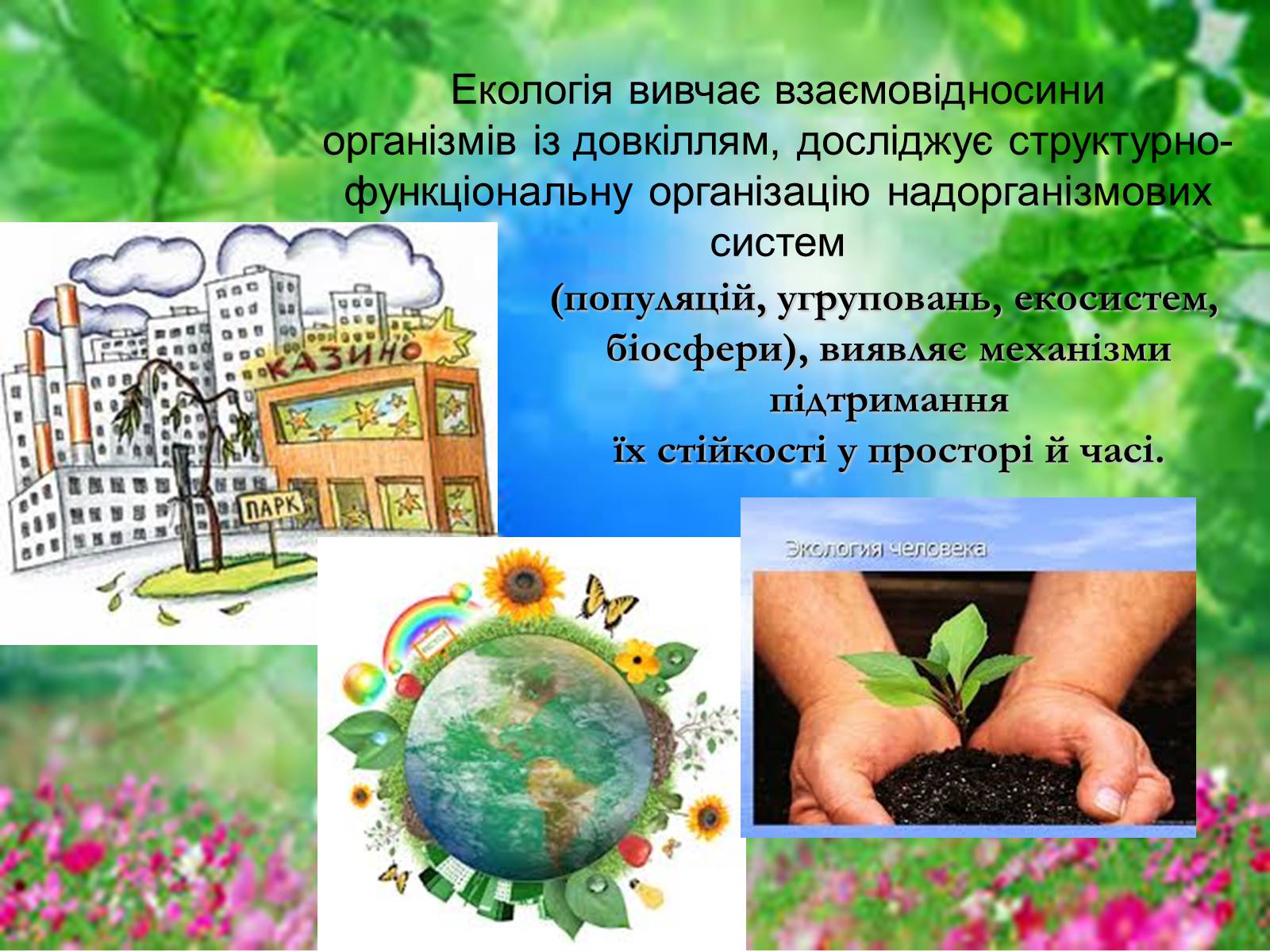 Презентація на тему «Основні поняття еколігії та її забруднення» - Слайд #3 Презентація на тему «Основні поняття еколігії та її забруднення» - Слайд #3