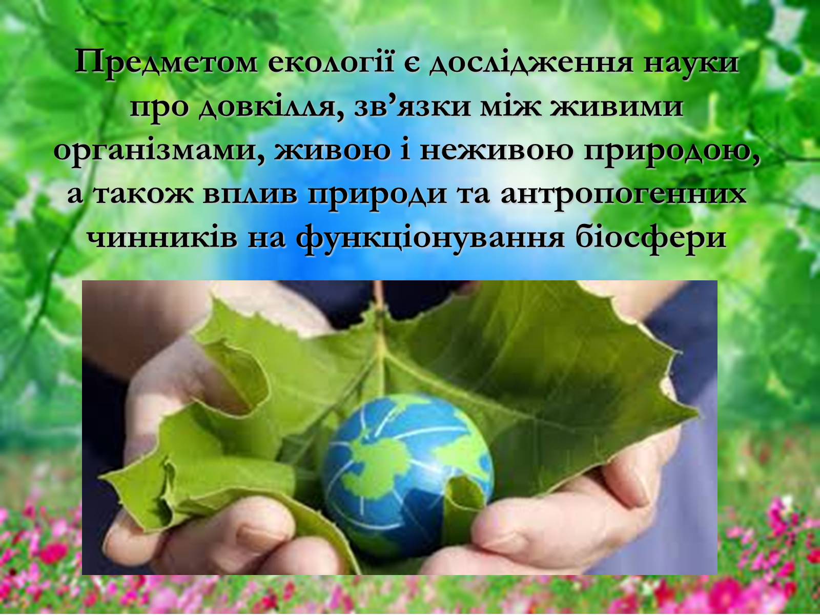 Презентація на тему «Основні поняття еколігії та її забруднення» - Слайд #4 Презентація на тему «Основні поняття еколігії та її забруднення» - Слайд #4