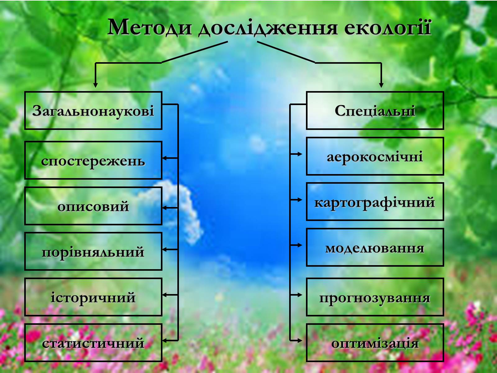 Презентація на тему «Основні поняття еколігії та її забруднення» - Слайд #7 Презентація на тему «Основні поняття еколігії та її забруднення» - Слайд #7