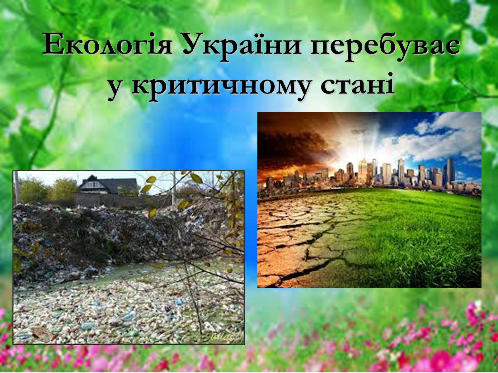 Презентація на тему «Основні поняття еколігії та її забруднення» - Слайд #8 Презентація на тему «Основні поняття еколігії та її забруднення» - Слайд #8