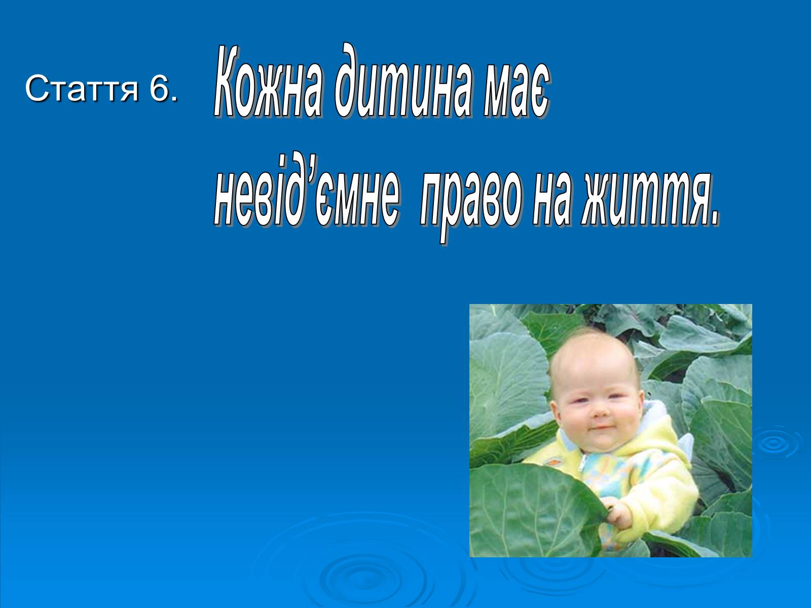 Презентація на тему «Право» - Слайд #8 Презентація на тему «Право» - Слайд #8