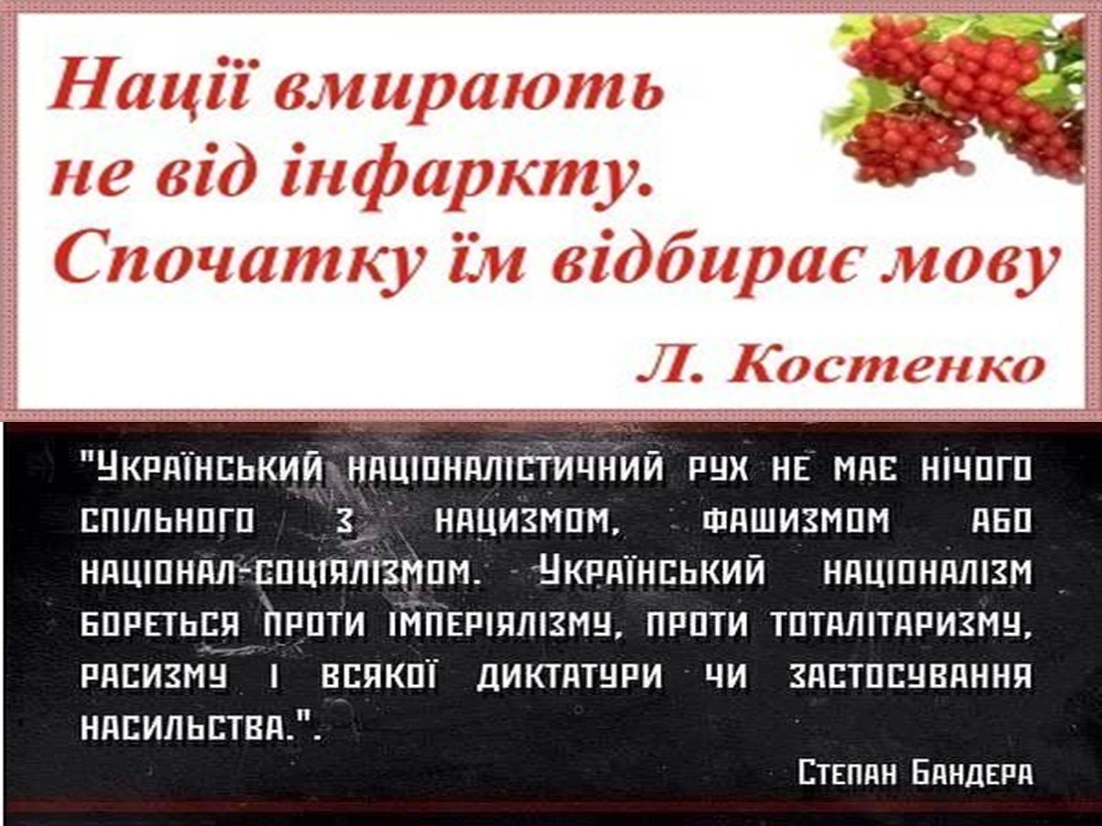 Презентація на тему «Націоналізм» (варіант 2) - Слайд #9 Презентація на тему «Націоналізм» (варіант 2) - Слайд #9