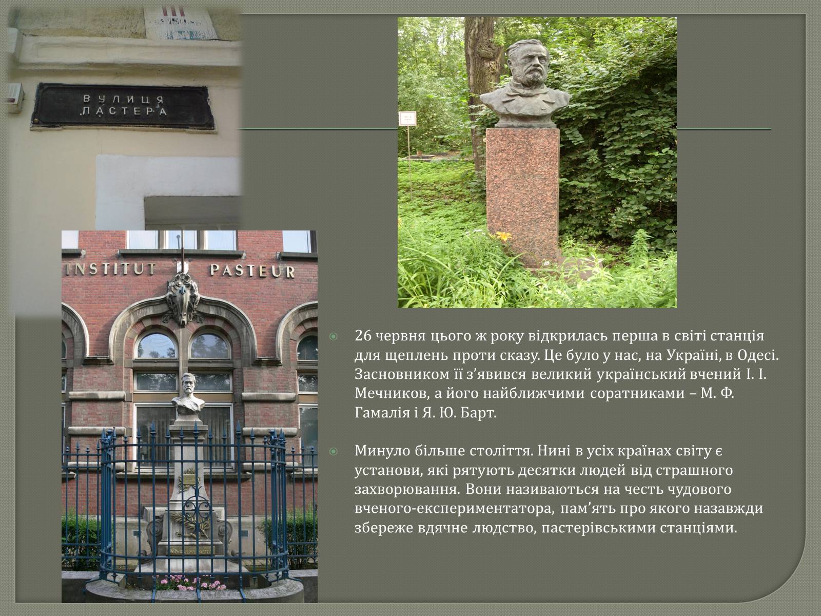 Презентація на тему «Щеплення проти сказу» - Слайд #11 Презентація на тему «Щеплення проти сказу» - Слайд #11