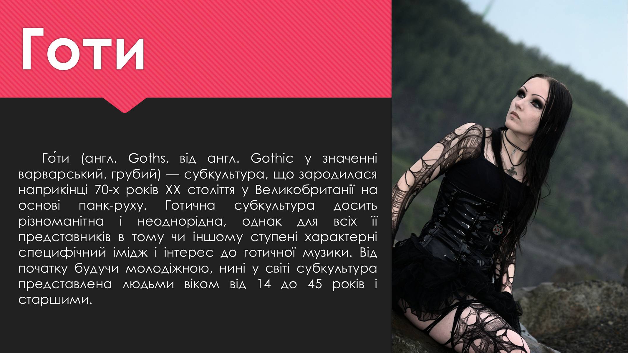 Презентація на тему «Субкультури» (варіант 1) - Слайд #8 Презентація на тему «Субкультури» (варіант 1) - Слайд #8