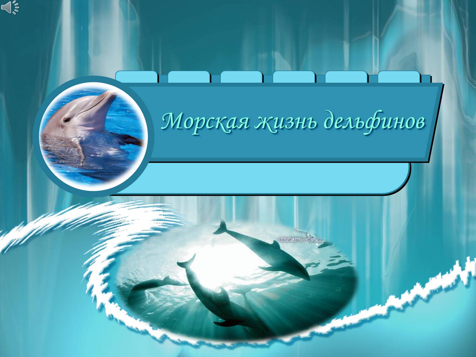 Презентація на тему «Морская жизнь дельфинов» - Слайд #1 Презентація на тему «Морская жизнь дельфинов» - Слайд #1