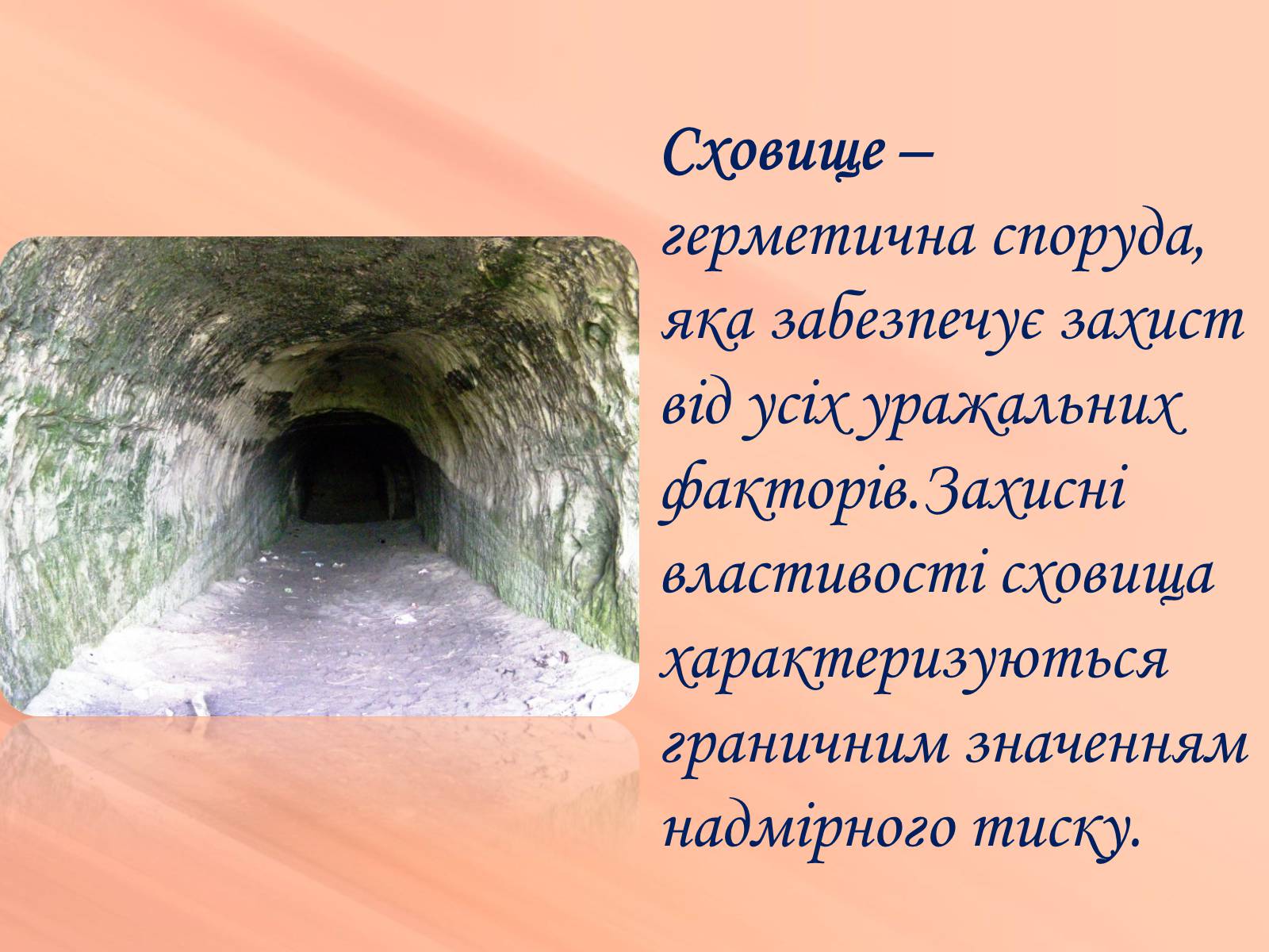 Презентація на тему «Евакуація населення» (варіант 2) - Слайд #21 Презентація на тему «Евакуація населення» (варіант 2) - Слайд #21