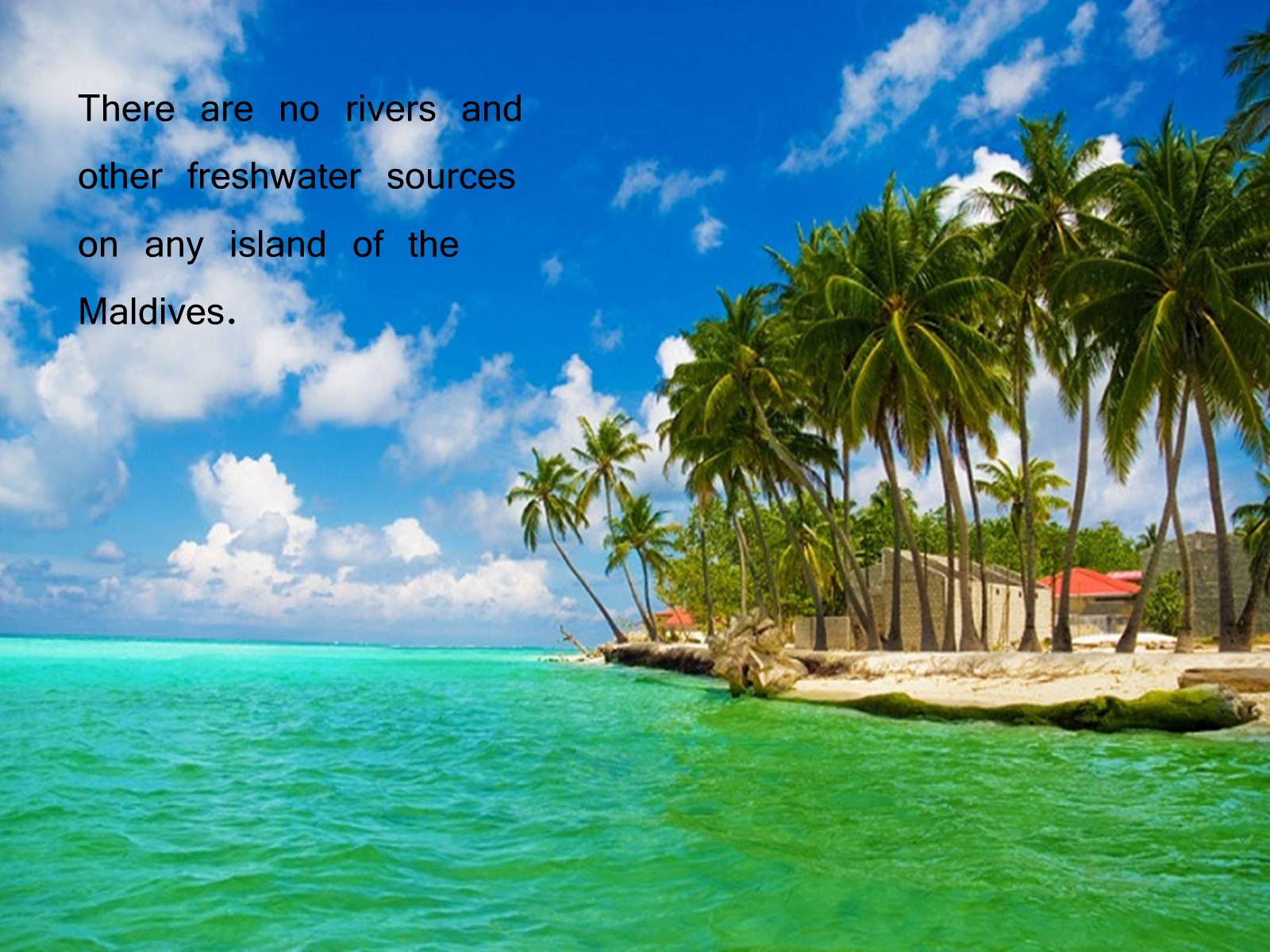 Презентація на тему «Paradise on the Earth. The Maldives» - Слайд #10 Презентація на тему «Paradise on the Earth. The Maldives» - Слайд #10