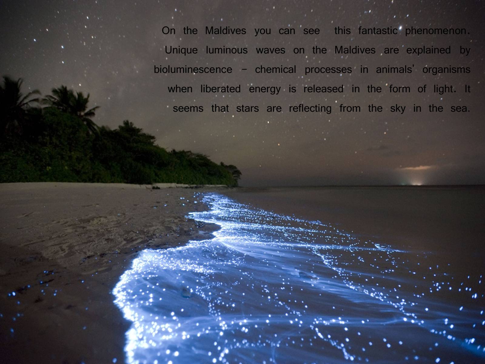 Презентація на тему «Paradise on the Earth. The Maldives» - Слайд #6 Презентація на тему «Paradise on the Earth. The Maldives» - Слайд #6