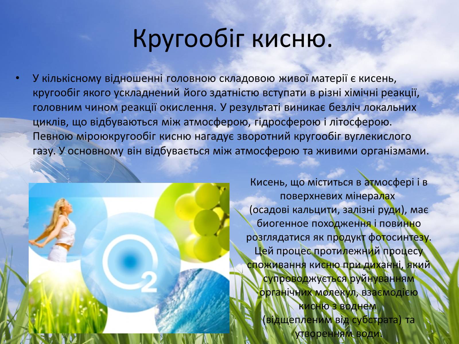 Презентація на тему «Колообіг речовин у природі» (варіант 3) - Слайд #6 Презентація на тему «Колообіг речовин у природі» (варіант 3) - Слайд #6
