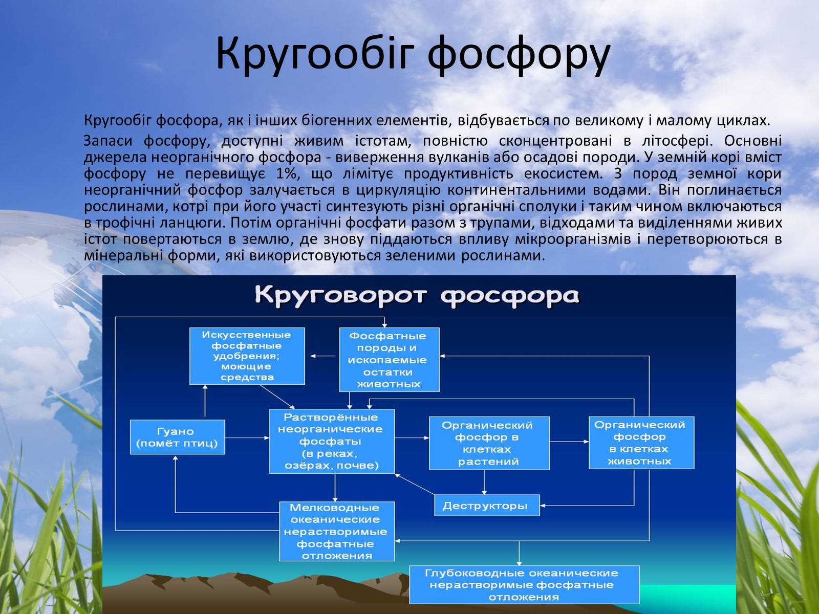 Презентація на тему «Колообіг речовин у природі» (варіант 3) - Слайд #8 Презентація на тему «Колообіг речовин у природі» (варіант 3) - Слайд #8