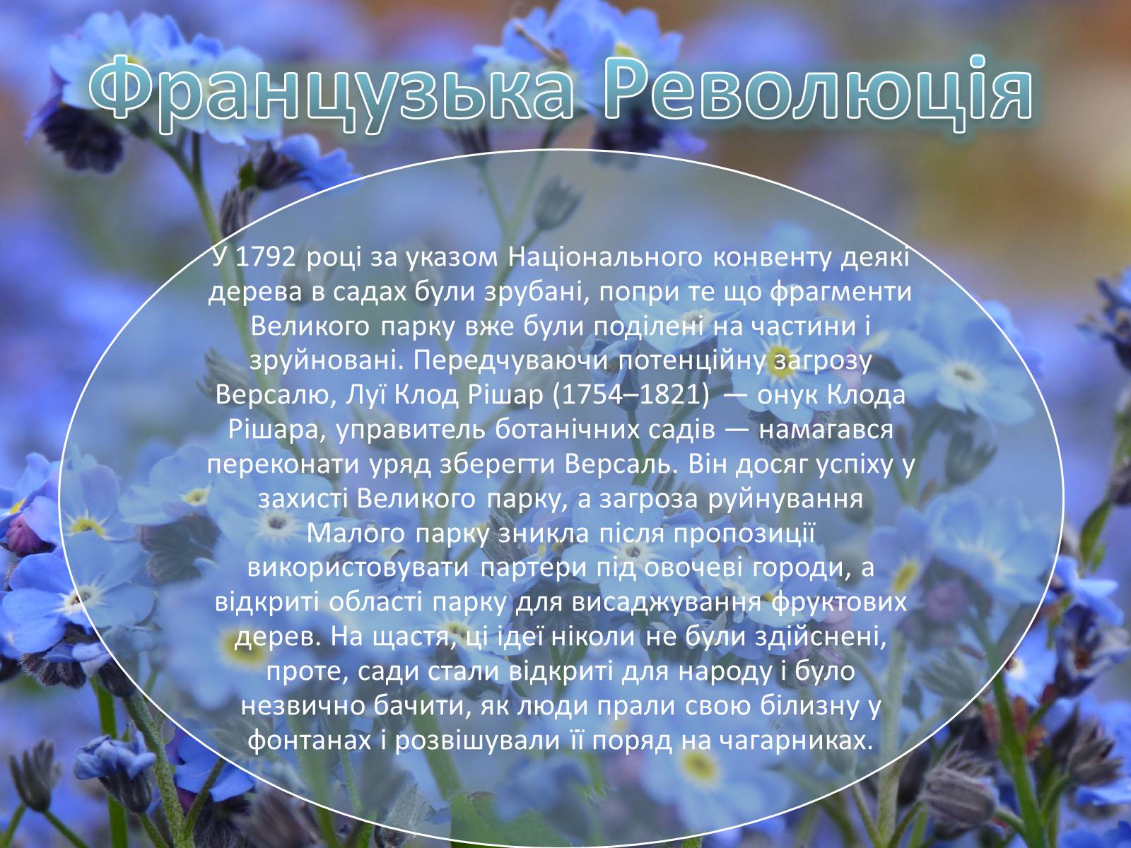 Презентація на тему «Сади і парк Версаля» - Слайд #11 Презентація на тему «Сади і парк Версаля» - Слайд #11