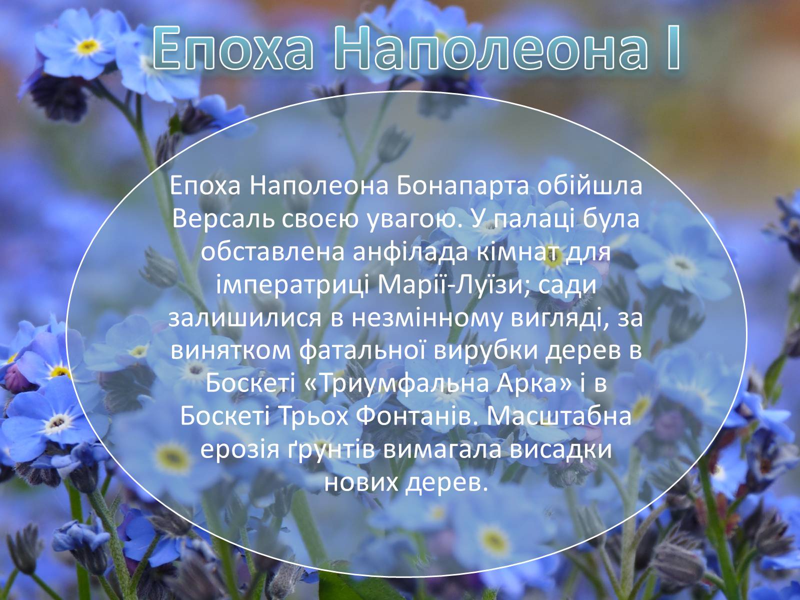Презентація на тему «Сади і парк Версаля» - Слайд #12 Презентація на тему «Сади і парк Версаля» - Слайд #12
