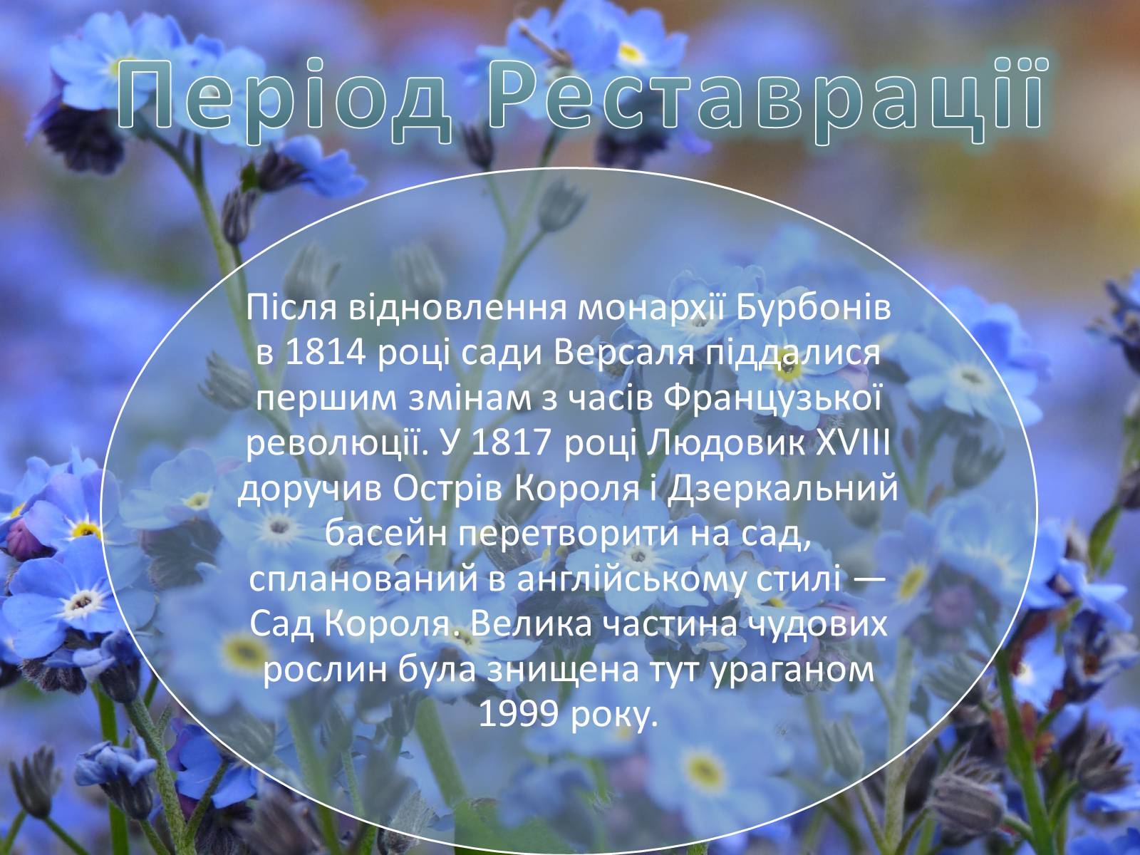 Презентація на тему «Сади і парк Версаля» - Слайд #13 Презентація на тему «Сади і парк Версаля» - Слайд #13