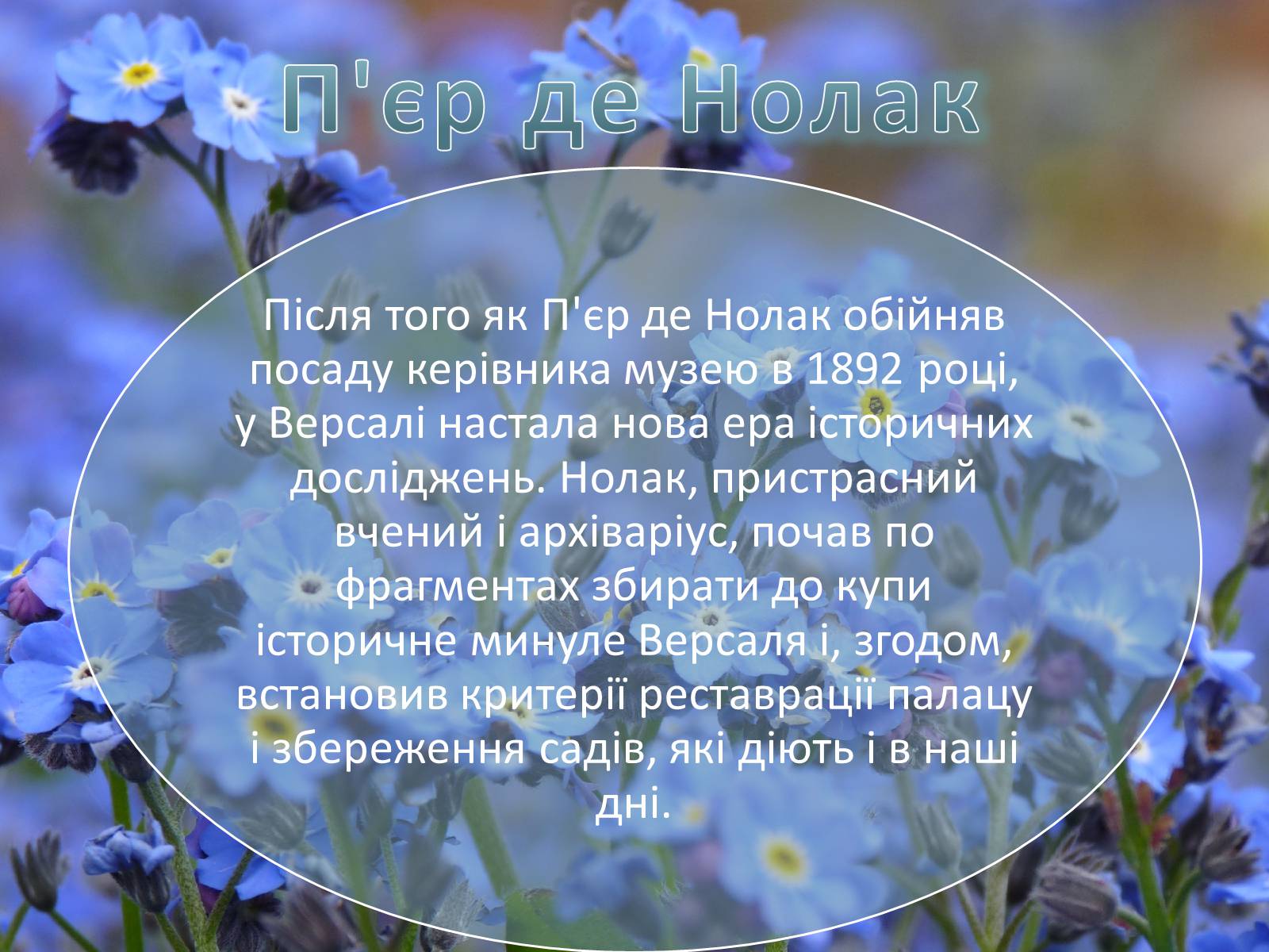 Презентація на тему «Сади і парк Версаля» - Слайд #15 Презентація на тему «Сади і парк Версаля» - Слайд #15