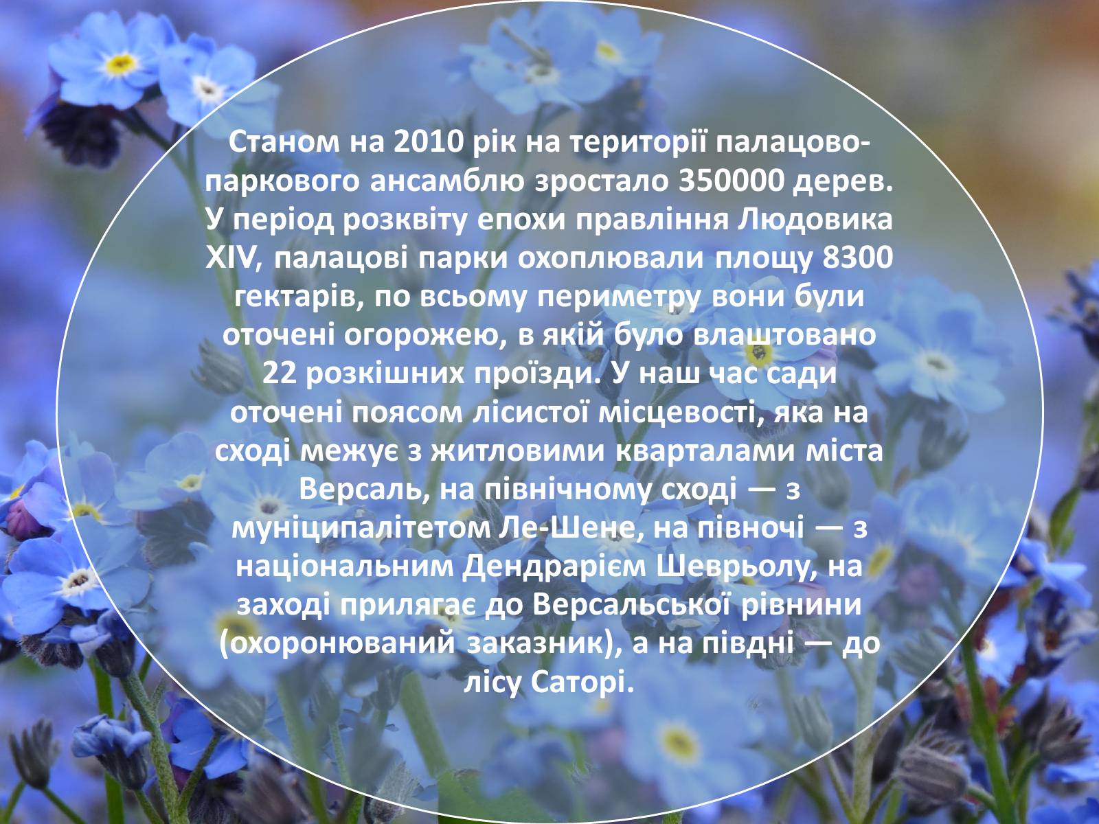 Презентація на тему «Сади і парк Версаля» - Слайд #4 Презентація на тему «Сади і парк Версаля» - Слайд #4