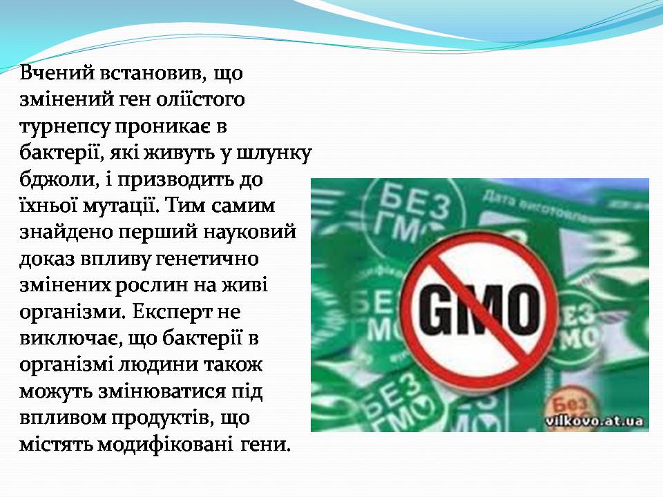 Презентація на тему «Історія появи і розвитку ГМО» - Слайд #7 Презентація на тему «Історія появи і розвитку ГМО» - Слайд #7