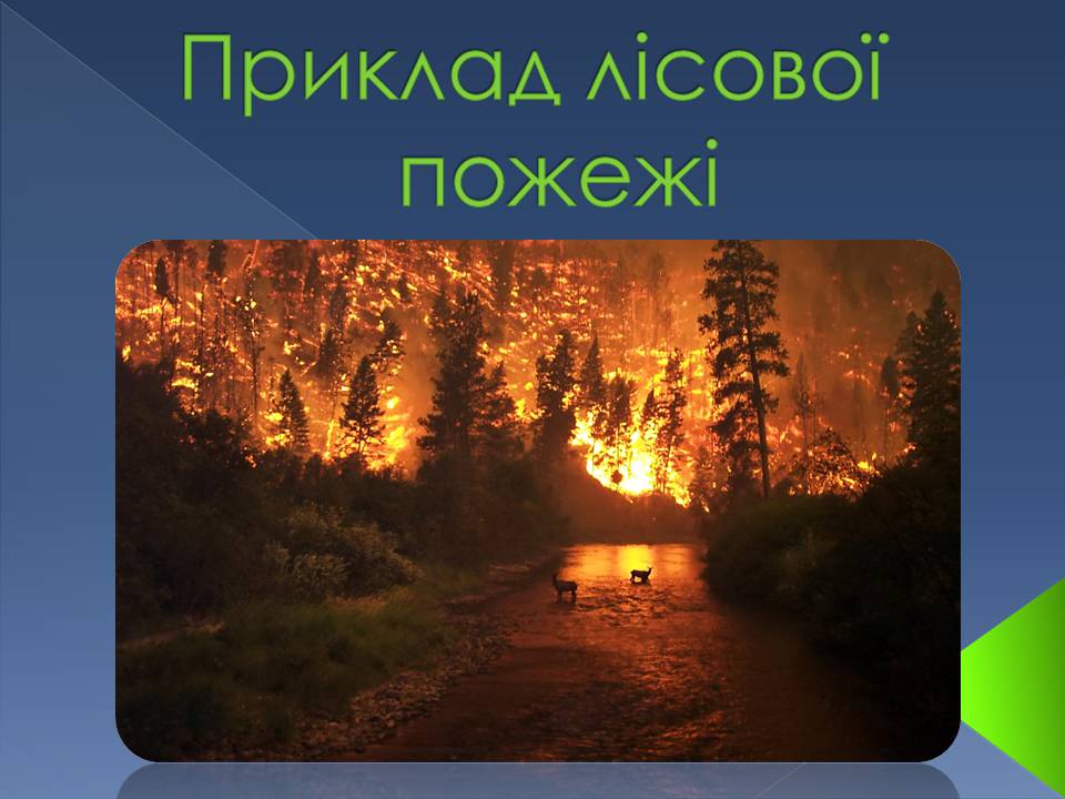 Презентація на тему «Екологічні проблеми» (варіант 14) - Слайд #12 Презентація на тему «Екологічні проблеми» (варіант 14) - Слайд #12