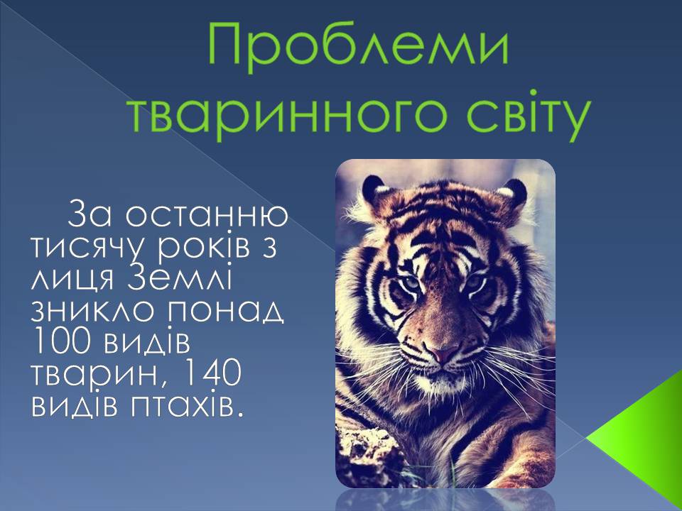 Презентація на тему «Екологічні проблеми» (варіант 14) - Слайд #13 Презентація на тему «Екологічні проблеми» (варіант 14) - Слайд #13