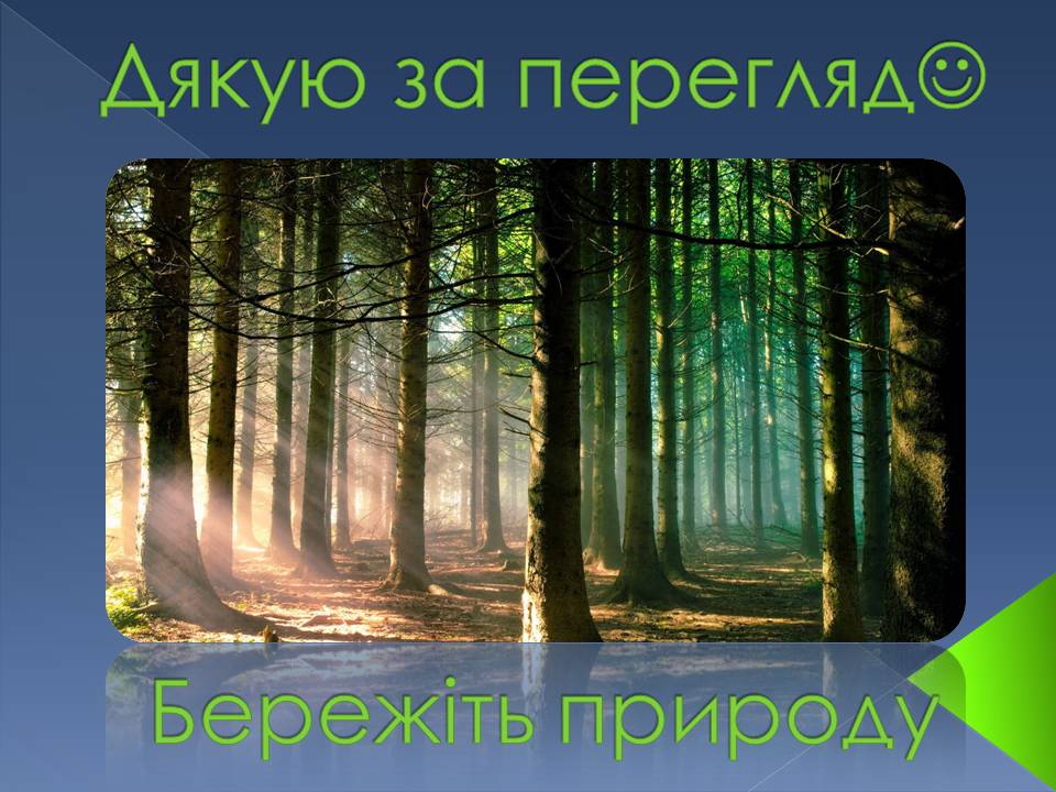 Презентація на тему «Екологічні проблеми» (варіант 14) - Слайд #16 Презентація на тему «Екологічні проблеми» (варіант 14) - Слайд #16