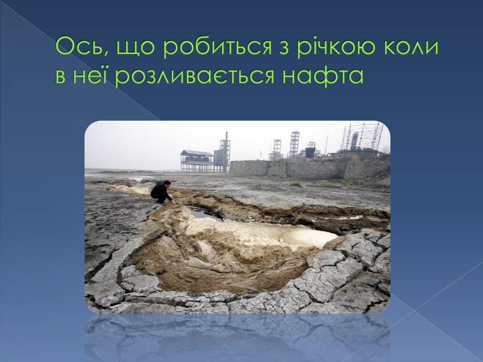 Презентація на тему «Екологічні проблеми» (варіант 14) - Слайд #8 Презентація на тему «Екологічні проблеми» (варіант 14) - Слайд #8