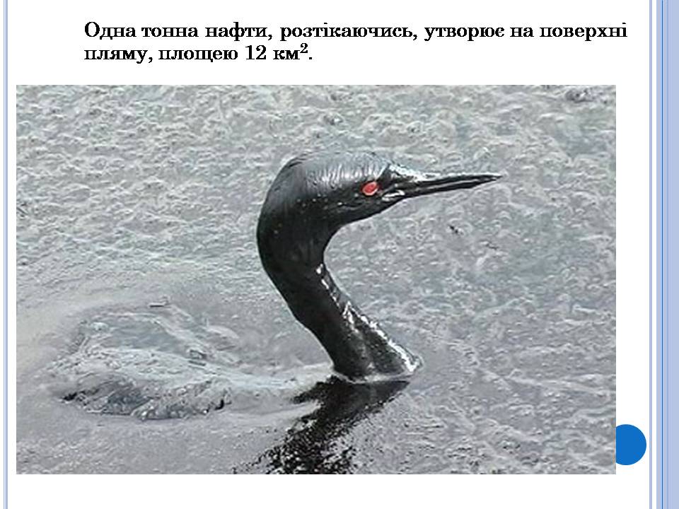 Презентація на тему «Охорона навколишнього середовища» (варіант 3) - Слайд #17 Презентація на тему «Охорона навколишнього середовища» (варіант 3) - Слайд #17